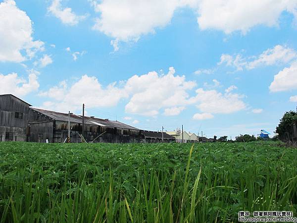 IMG_0917.JPG IMG_0917.JPG