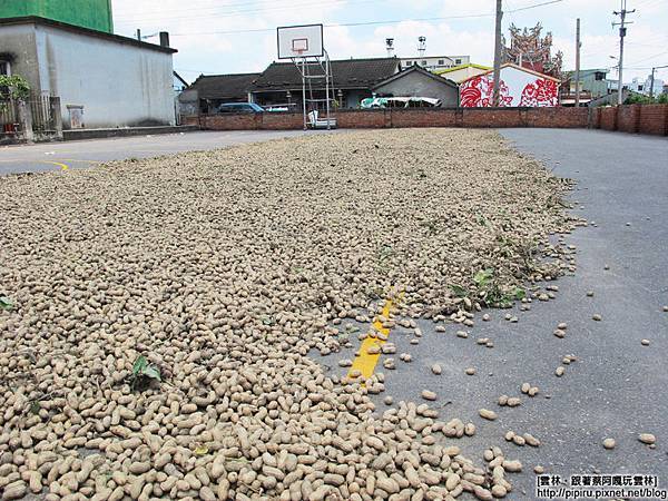 IMG_0914.JPG IMG_0914.JPG