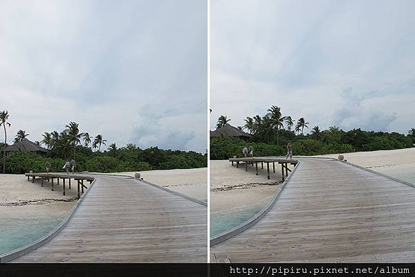 IMG_6028.JPG IMG_6028.JPG