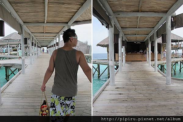 IMG_6031.JPG IMG_6031.JPG