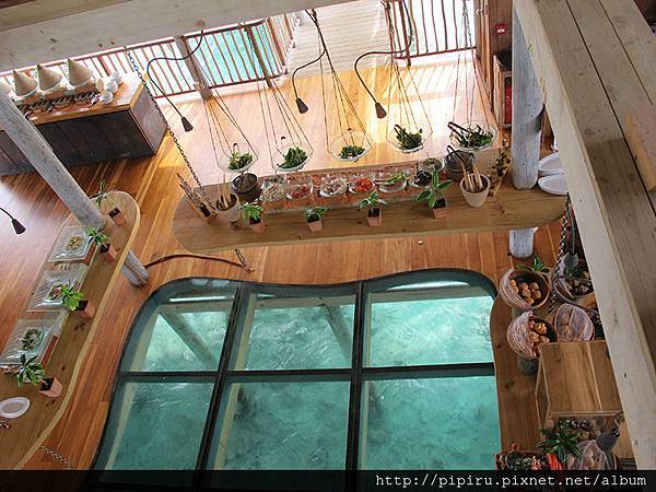 IMG_6042.JPG IMG_6042.JPG