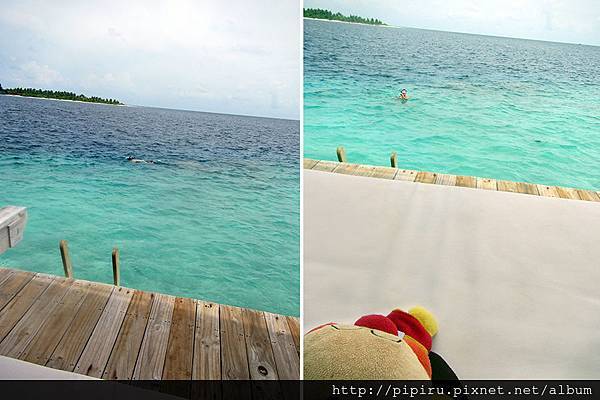 IMG_0626.JPG IMG_0626.JPG