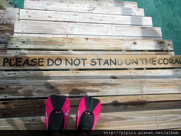 IMG_0628.JPG IMG_0628.JPG