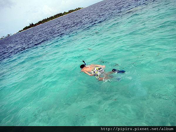 IMG_0631.JPG IMG_0631.JPG