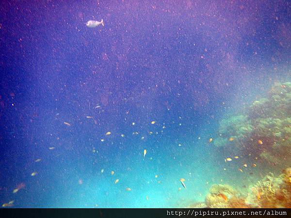 IMG_0646.JPG IMG_0646.JPG