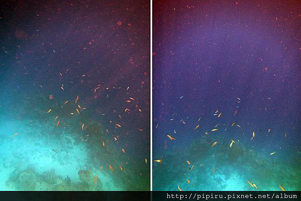 IMG_0650.JPG IMG_0650.JPG