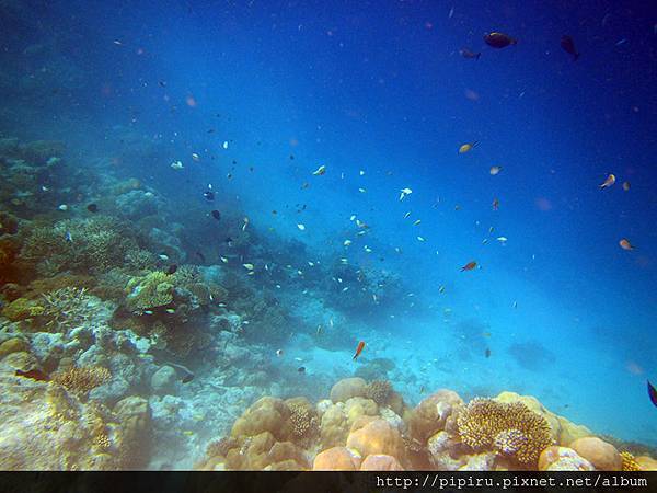 IMG_0671.JPG IMG_0671.JPG