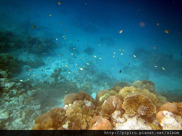 IMG_0672.JPG IMG_0672.JPG