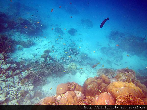 IMG_0673.JPG IMG_0673.JPG