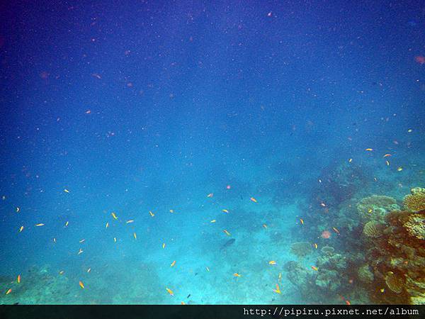 IMG_0687.JPG IMG_0687.JPG