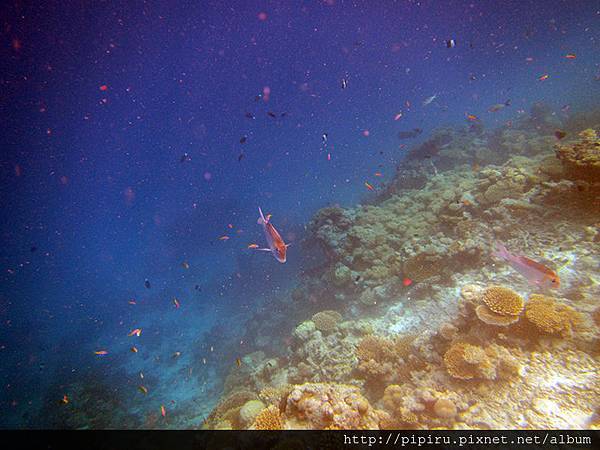 IMG_0688.JPG IMG_0688.JPG