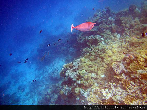 IMG_0692.JPG IMG_0692.JPG