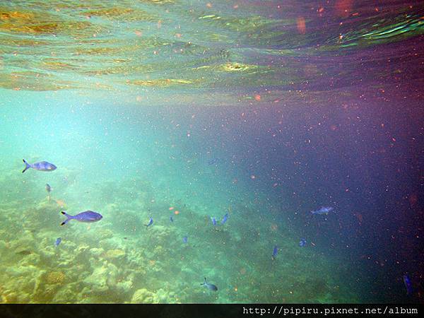 IMG_0698.JPG IMG_0698.JPG