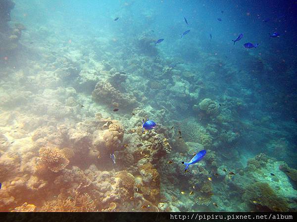 IMG_0701.JPG IMG_0701.JPG