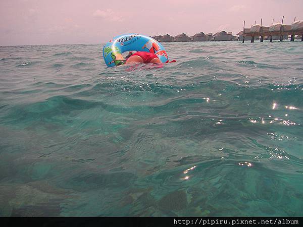 IMG_0703.JPG IMG_0703.JPG