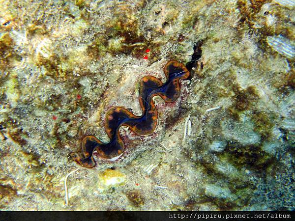 IMG_0709.JPG IMG_0709.JPG