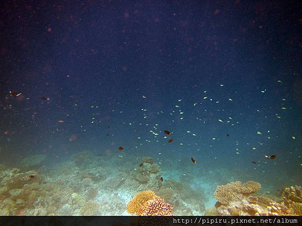 IMG_0712.JPG IMG_0712.JPG