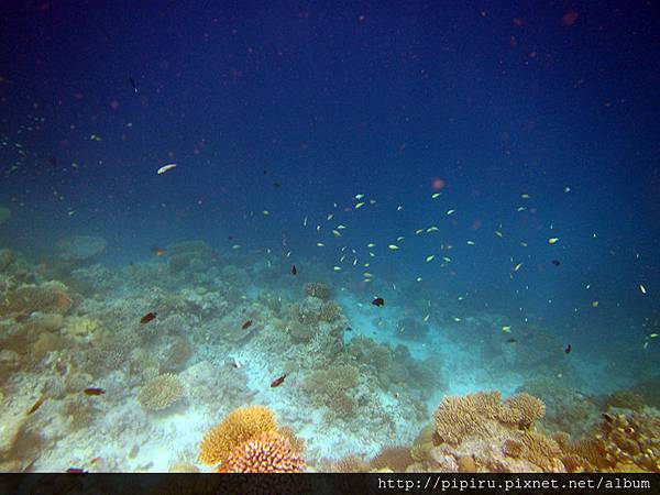 IMG_0713.JPG IMG_0713.JPG