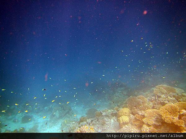 IMG_0714.JPG IMG_0714.JPG