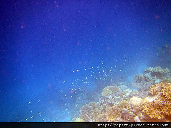 IMG_0715.JPG IMG_0715.JPG