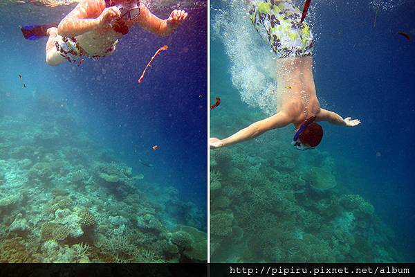 IMG_0718.JPG IMG_0718.JPG