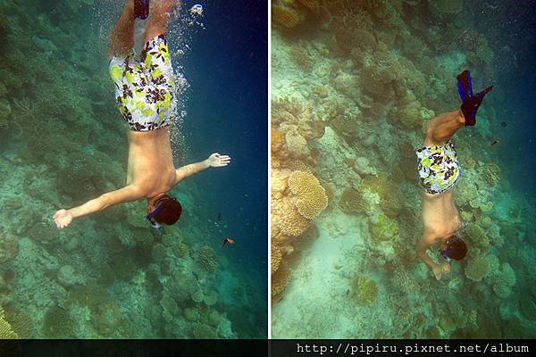 IMG_0720.JPG IMG_0720.JPG