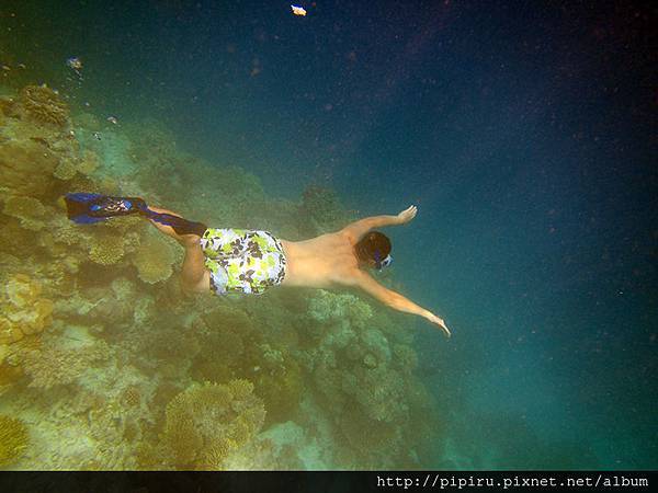 IMG_0722.JPG IMG_0722.JPG