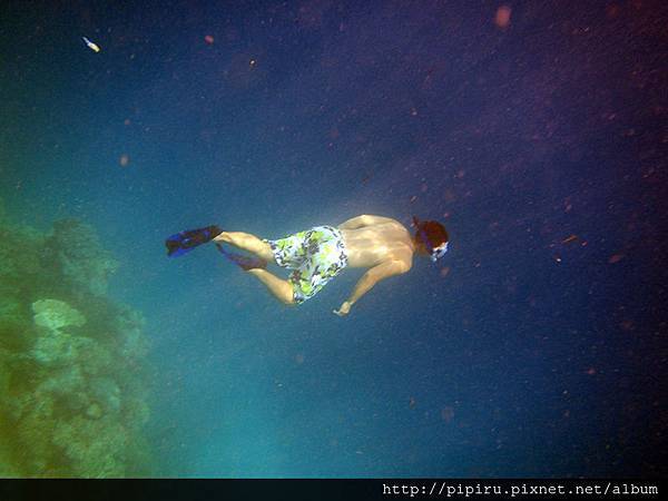 IMG_0723.JPG IMG_0723.JPG