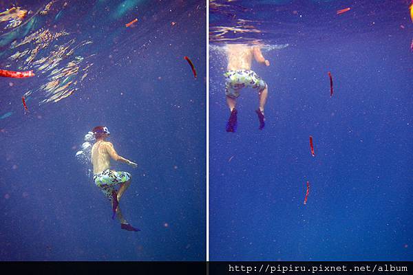 IMG_0724.JPG IMG_0724.JPG