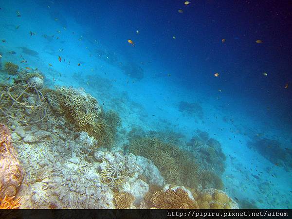 IMG_0750.JPG IMG_0750.JPG