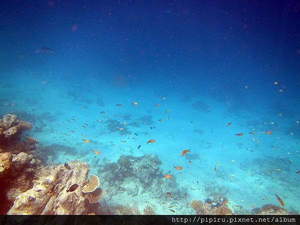 IMG_0751.JPG IMG_0751.JPG