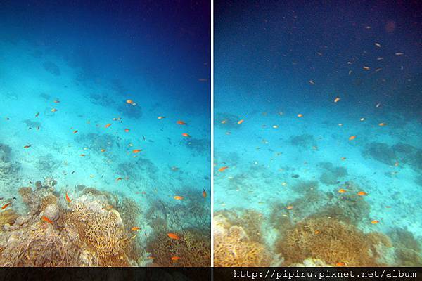 IMG_0755.JPG IMG_0755.JPG