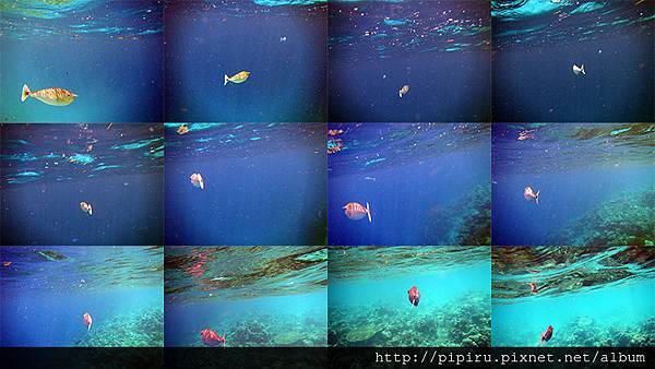 IMG_0757s.jpg IMG_0757s.jpg