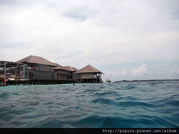 IMG_0772.JPG IMG_0772.JPG