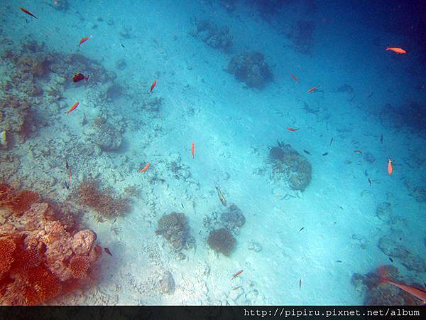 IMG_0778.JPG IMG_0778.JPG