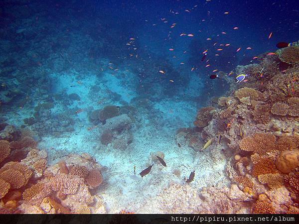 IMG_0786.JPG IMG_0786.JPG