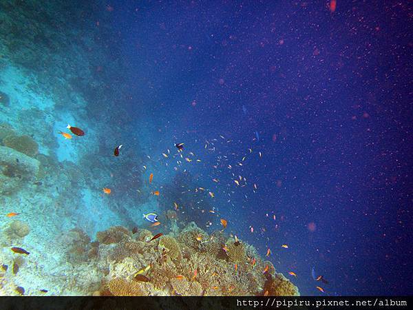 IMG_0787.JPG IMG_0787.JPG