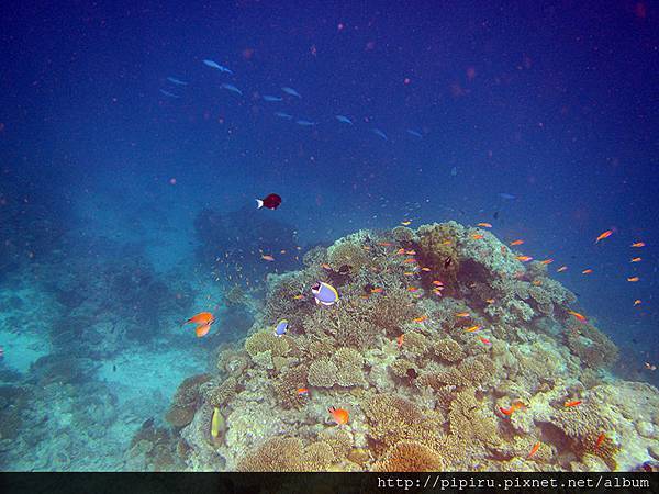 IMG_0789.JPG IMG_0789.JPG