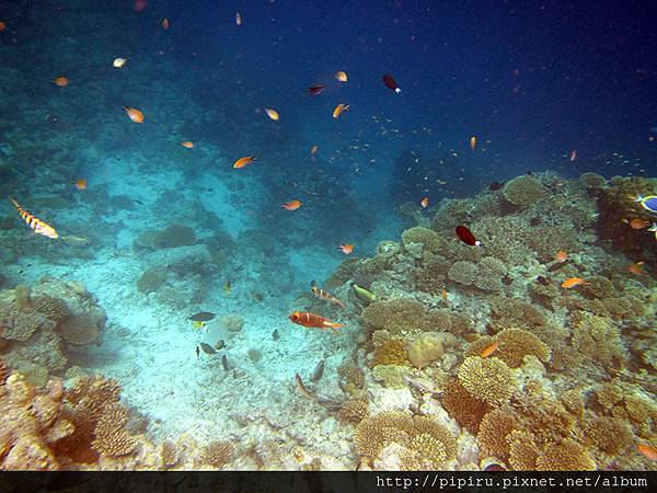 IMG_0790.JPG IMG_0790.JPG