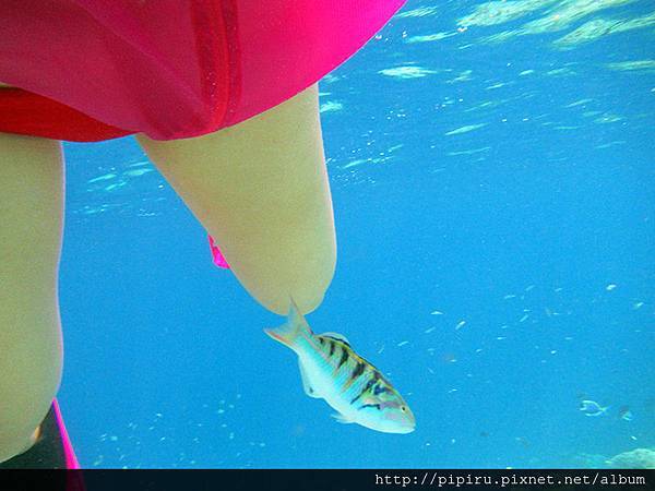 IMG_0800.JPG IMG_0800.JPG