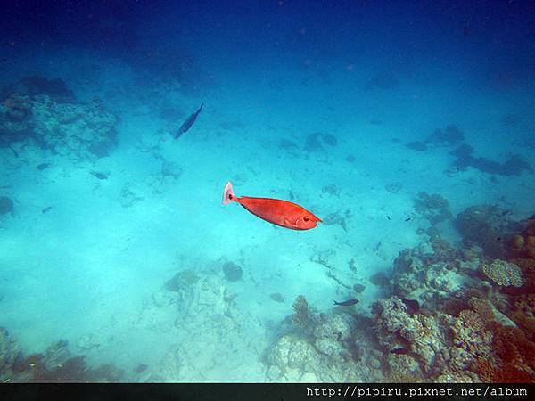 IMG_0812.JPG IMG_0812.JPG