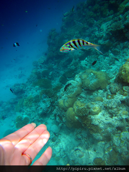 IMG_0822.JPG IMG_0822.JPG