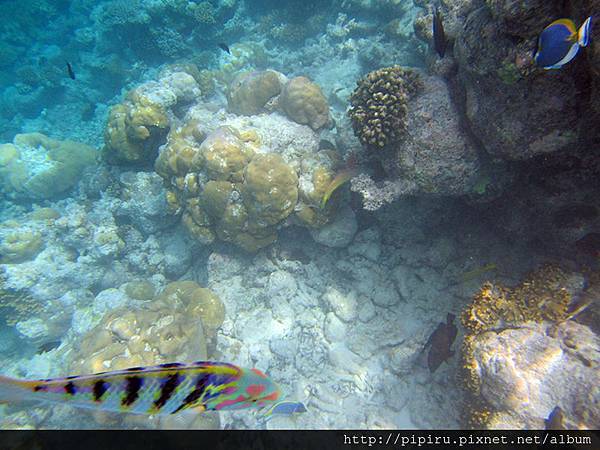 IMG_0824.JPG IMG_0824.JPG