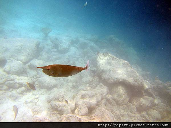 IMG_0834.JPG IMG_0834.JPG