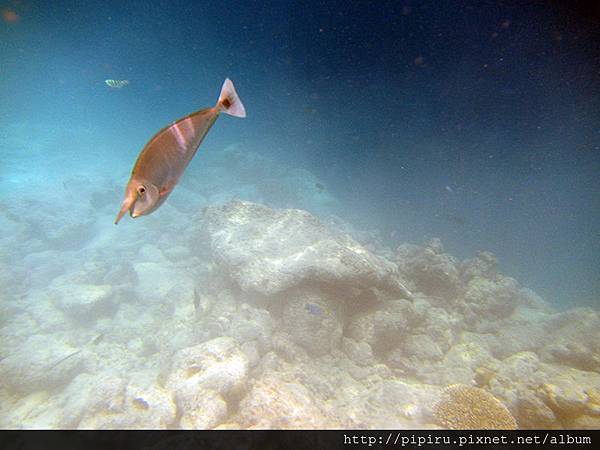 IMG_0835.JPG IMG_0835.JPG