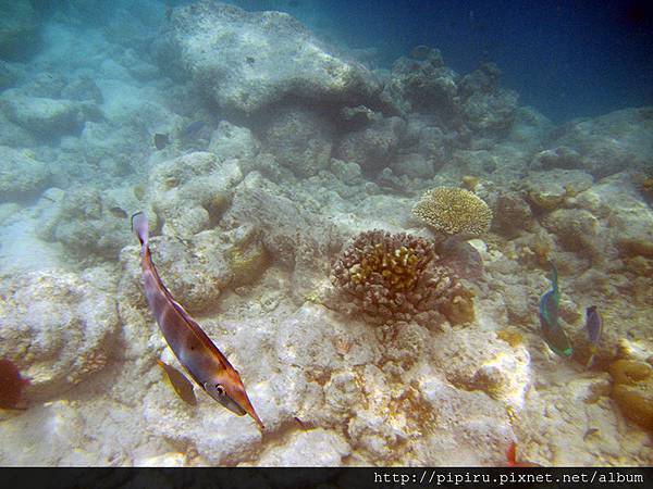 IMG_0836.JPG IMG_0836.JPG