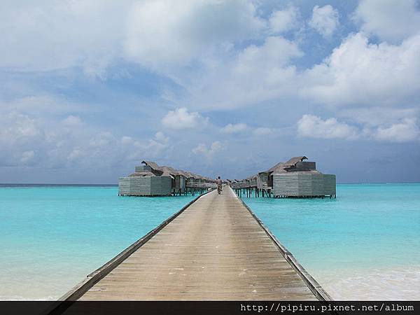 IMG_6127.JPG IMG_6127.JPG