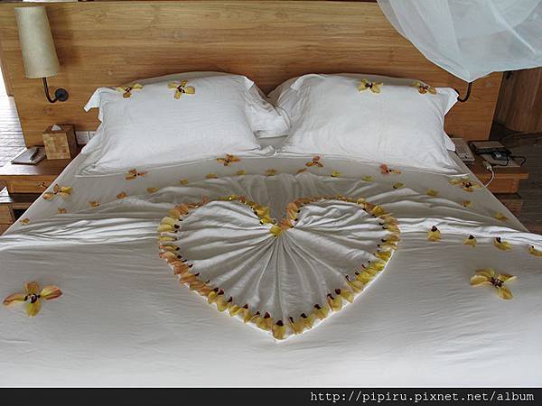 IMG_6130.JPG IMG_6130.JPG