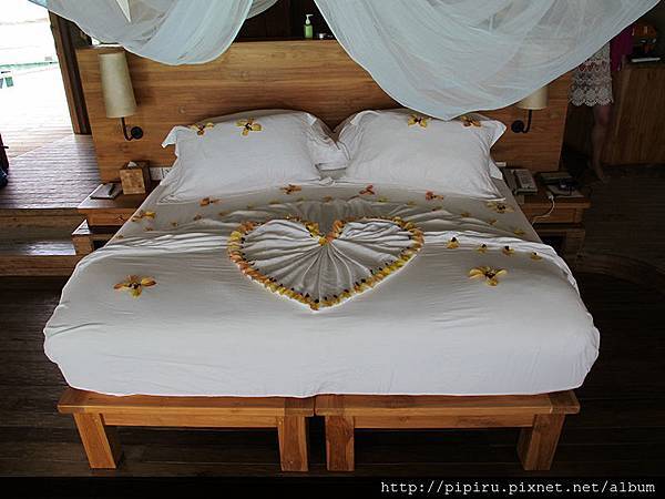 IMG_6131.JPG IMG_6131.JPG