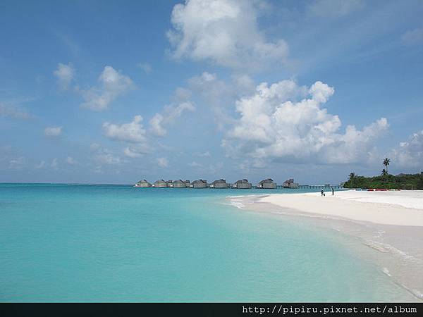 IMG_6137.JPG IMG_6137.JPG